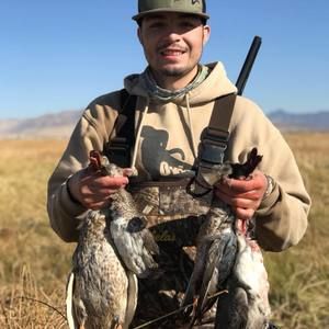 Meet your Posher, Riley